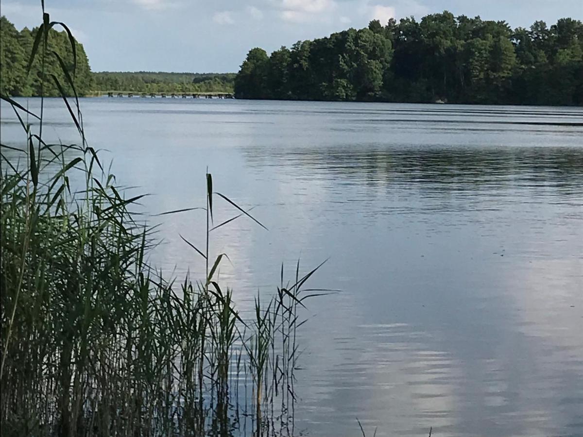 Appartamento Forsthaus Zartwitzer Huette Rechlin Esterno foto