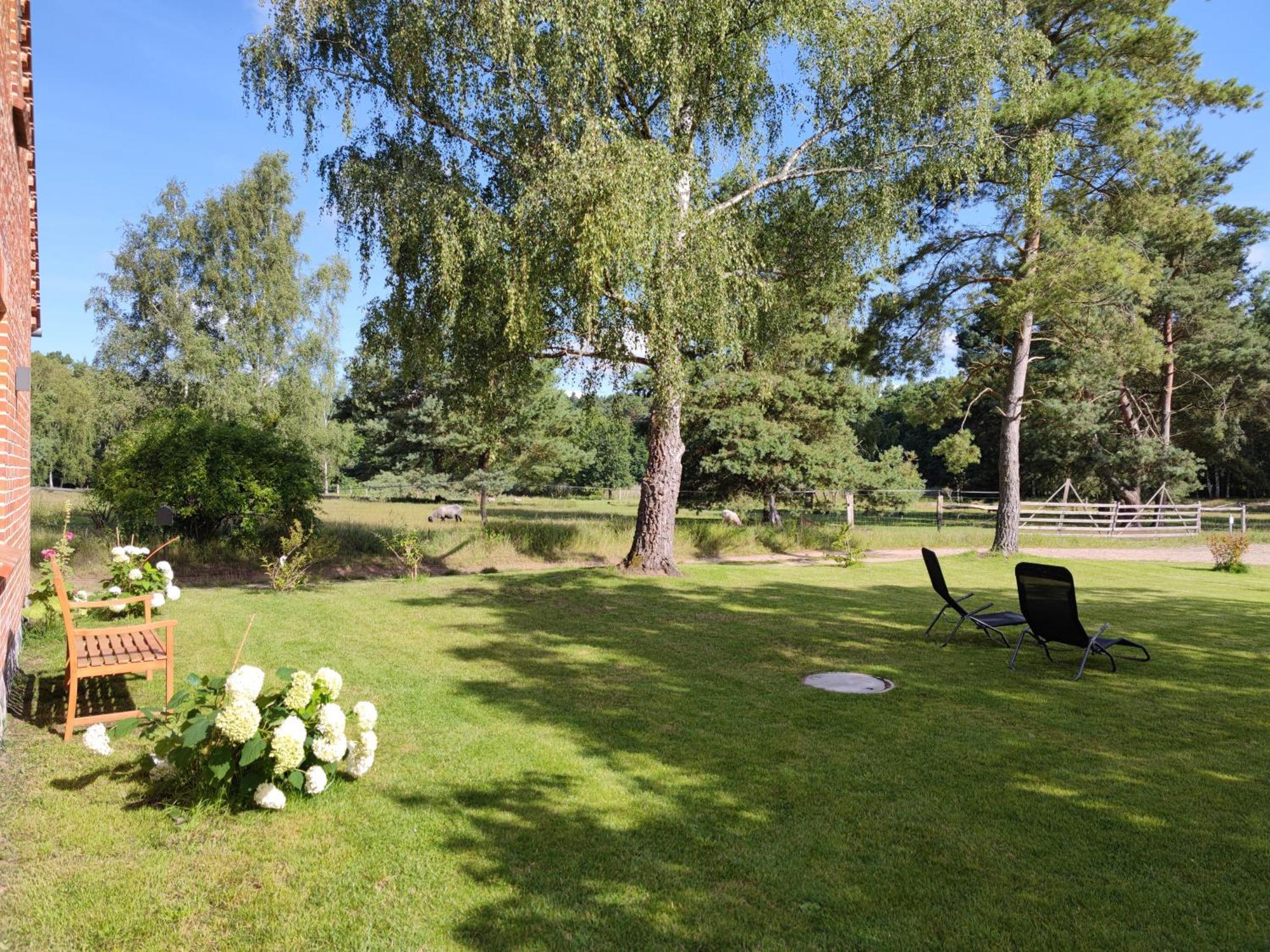 Appartamento Forsthaus Zartwitzer Huette Rechlin Esterno foto
